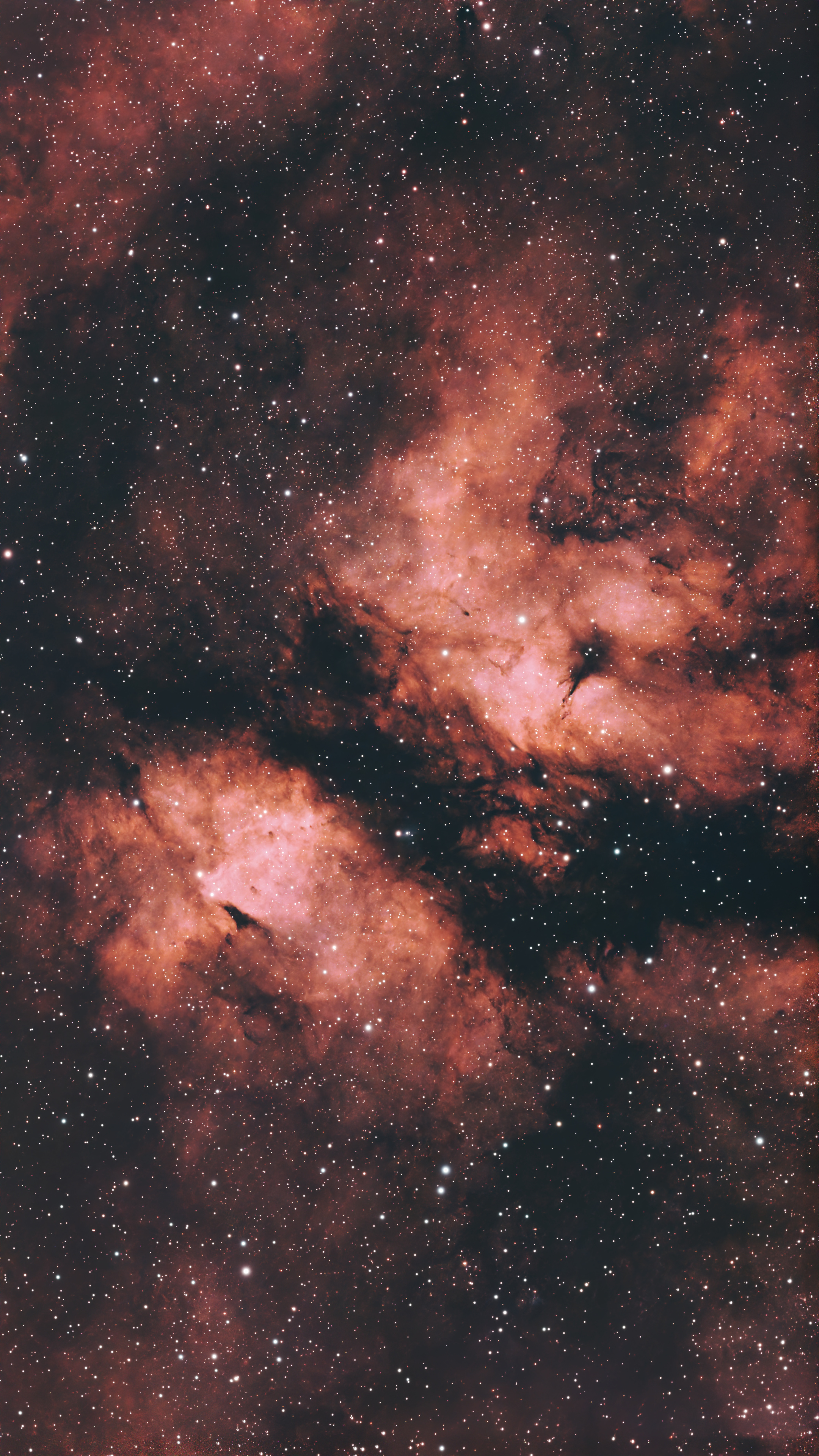 IC 1318 (Gamma Cygni Nebula)